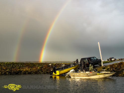 Séjour Willemsdorp 2016